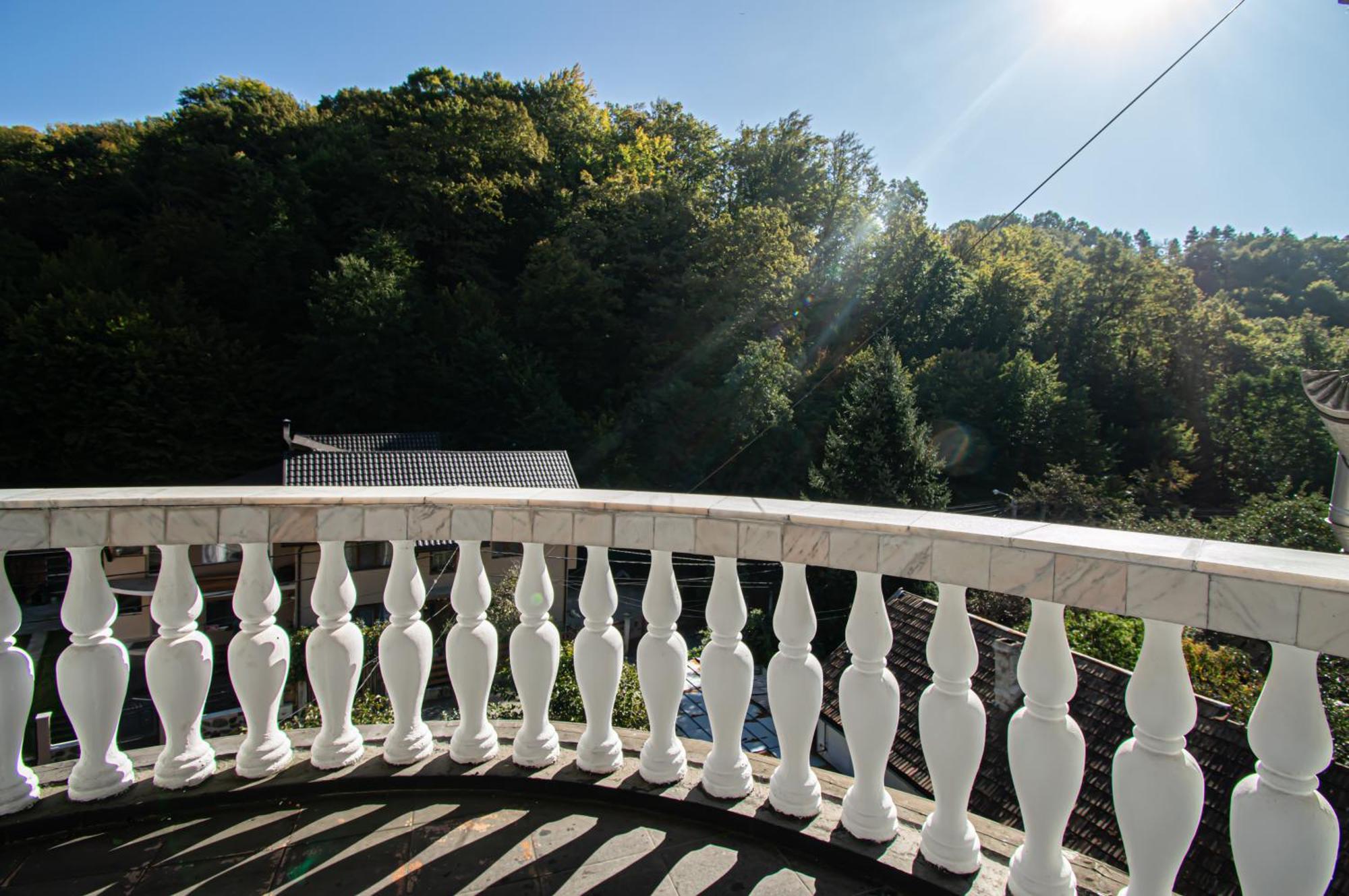 Pensiune Forest Park Baia Mare Buitenkant foto